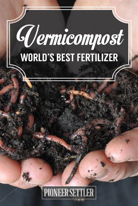 Vermicomposting How To Fertilize With Worm Castings Vermicomposting