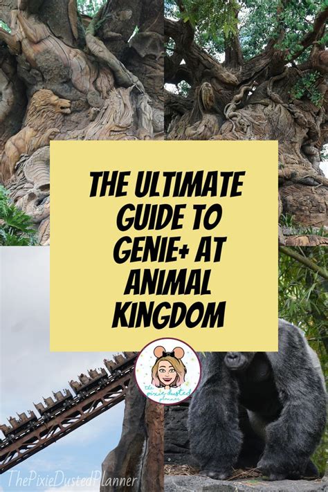 The Ultimate Guide To Gene At Animal Kingdom