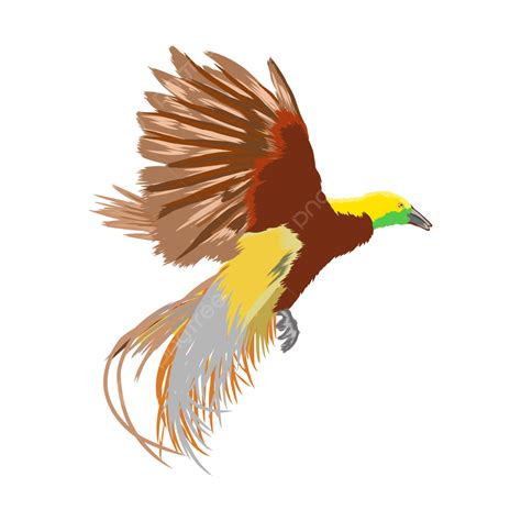 Illustration Of Bird Paradise Vector Bird Paradise Paradise Bird Png