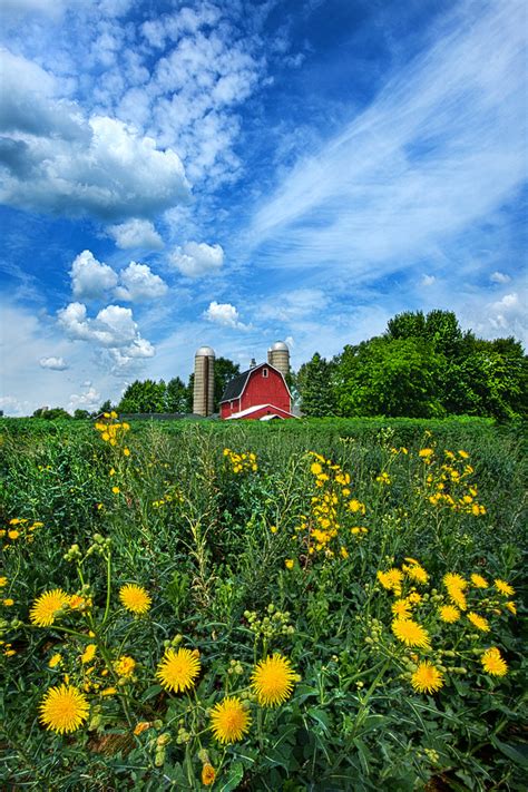 Perfectly Summer Wisconsin Horizons By Phil Koch Lives In Flickr