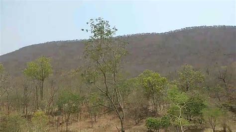 Beautiful Hills Of Nallamala Forest Youtube