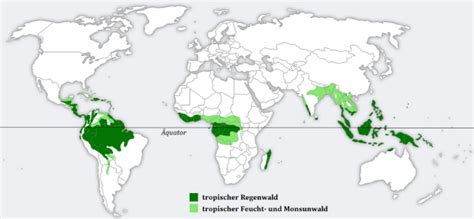 Pentru a preveni inundațiile și distresul. Ce este biogeografia? - Scientia.ro