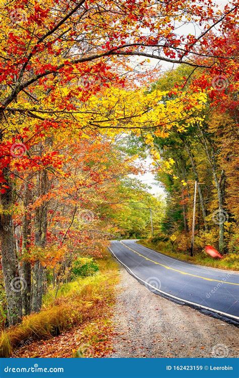 Beautiful Autumn Road Winding Through Fall Foliage In New England Stock