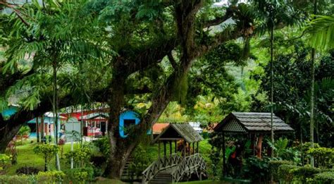 Lopinot Heritage Tour 4 Hours — National Trust Of Trinidad And Tobago
