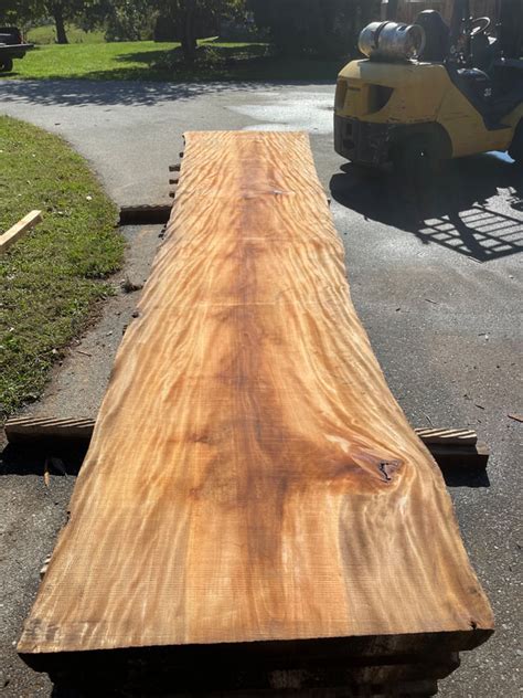 Sycamore Slabs Good Hope Hardwoods Walnut Slabs And Specialty