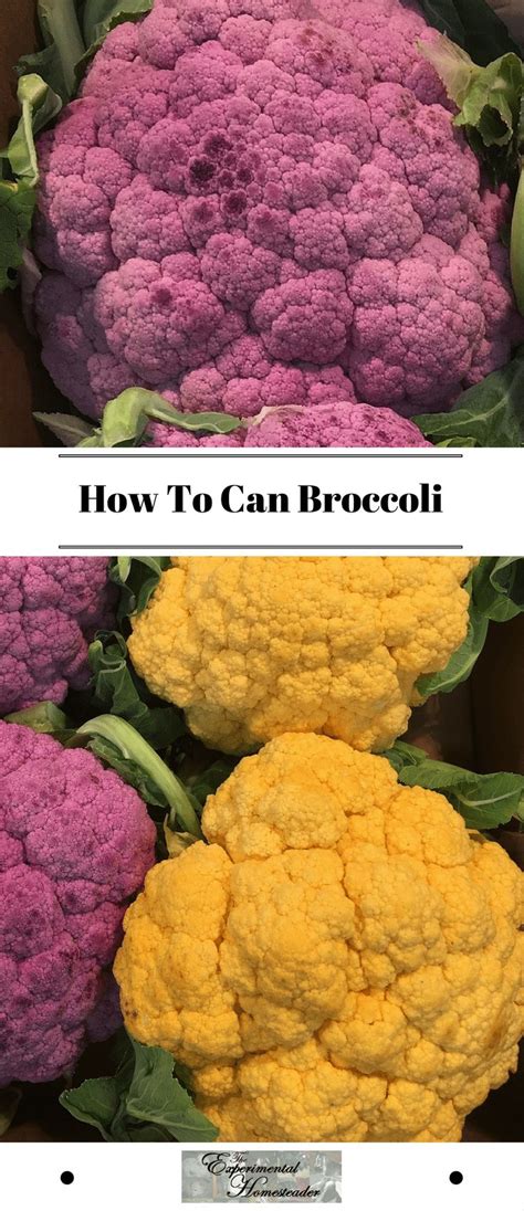 How To Can Broccoli Sterilizing Canning Jars Home Canning Compost