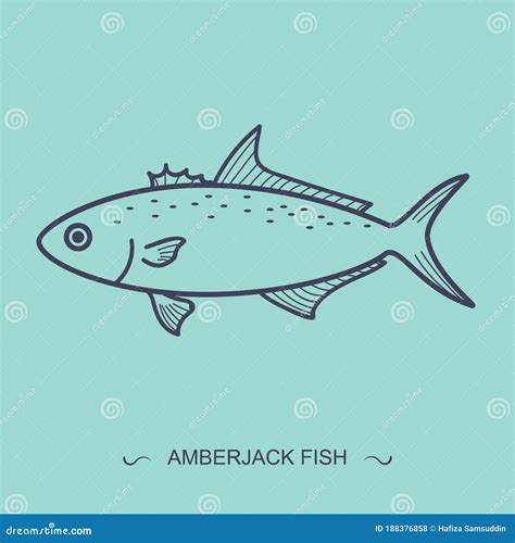 Amberjack Fish Vector Illustration Decorative Design Stock Vector