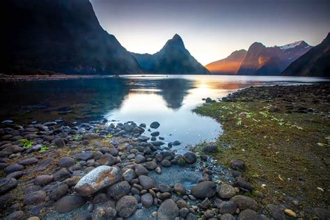 Milford Sound Sunset With Foreground Rock South Island New Zealand
