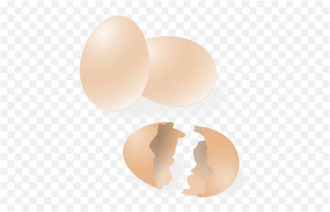 Broken And Whole Egg Shell Vector Drawing Free Svg Egg Shell Clip Art
