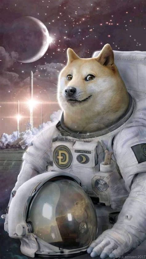 Doge Is Going To Space Rdoge