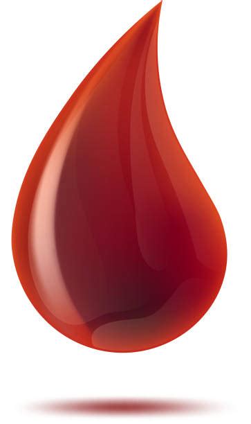 Royalty Free Blood Drop Clip Art Vector Images And Illustrations Istock