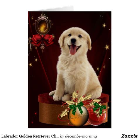 Labrador Golden Retriever Christmas Cards Christmas Dog Outfits