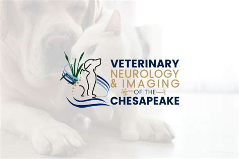 About Chesapeake Veterinary Surgical Specialists Maryland