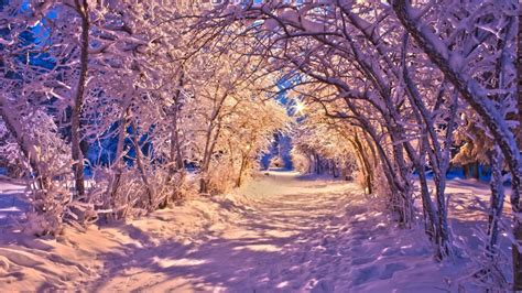 42 Beautiful Winter Wonderland Wallpaper