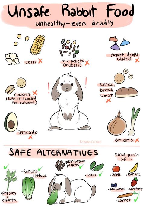 Try a dry bath to clean your bunny if he is not accustomed to a wet bath. Rabbit Ramblings: Bunny care: What is a treat?