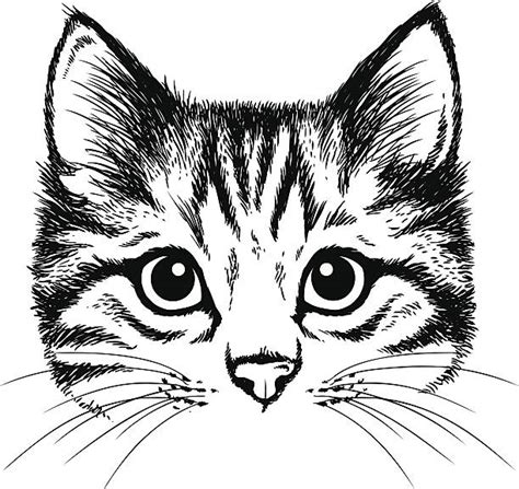 Best Tabby Cat Illustrations Royalty Free Vector Graphics