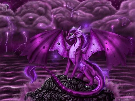 Download Purple Dragon Sitting On Stone Wallpaper