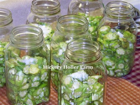 Hickery Holler Farm Canning Okra And Tomatoes