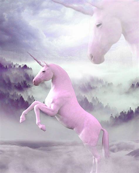 Aesthetic Unicorn Pastel Largest Wallpaper Portal