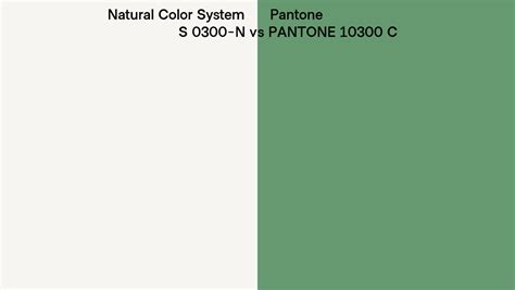 Natural Color System S 0300 N Vs Pantone 10300 C Side By Side Comparison