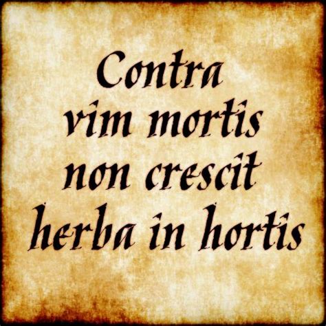 Latin Quotes Latin Quotes Latin Phrases Latin Words