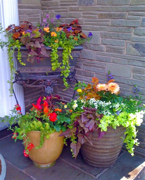 Front Porch Flower Pot Ideas Design Decoredo