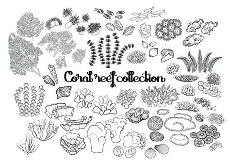 Malvorlage koralle kostenlose ausmalbilder zum ausdrucken. korallenriff malvorlagen in coloring fa 1 4 r malvorlagen ...