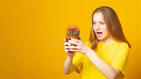 Banner Teen Girl Screams In Pain Pricked By A Cactus On A Yellow