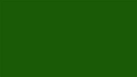 5120x2880 Lincoln Green Solid Color Background