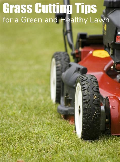 Grass Cutting Tips For A Green And Healthy Lawn Turning The Clock Back
