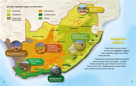 Types of vegetation in africa and their features (four zones). Geography of South Africa series: Natural vegetation and farming