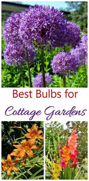 Cottage Garden Plants Perennials Annuals And Bulbs For Cottage Gardens