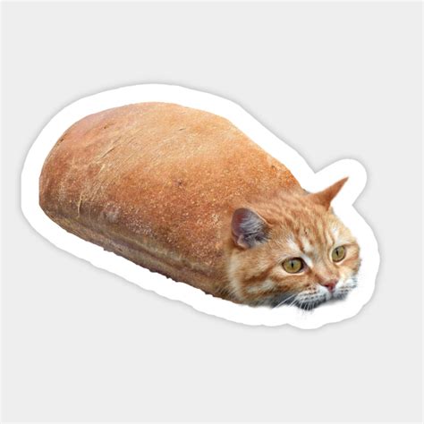 Cat Loaf Kitty Kitten Bread Breadloaf Cats Funny Cat Loaf Kitty