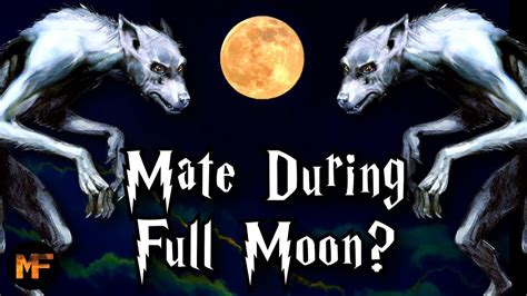 What If Two Werewolves Mated During The Full Moon Canon Harry Potter Explained Youtube