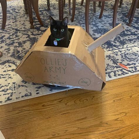 The Latest Fad Cardboard Tanks For Cats Cat Daily News