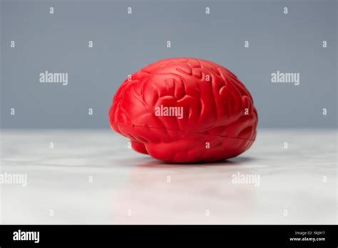 Gehirn Drogen Fotos Und Bildmaterial In Hoher Aufl Sung Alamy