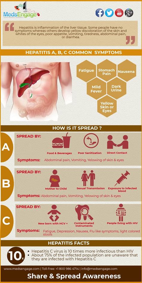 Information on hepatitus and the differences in hepatitis types a b c d e f and g. Hepatitis A, B, C common symptoms : hepatitis