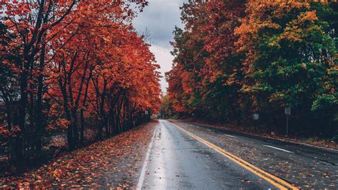 1920x1080 Autumn Road Trees On Sides Fallen Leaves Laptop