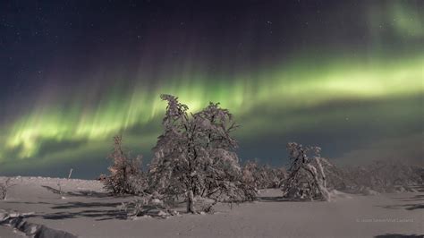 Polar Night Has Begun In Finnish Lapland Next Sunrise Next Year