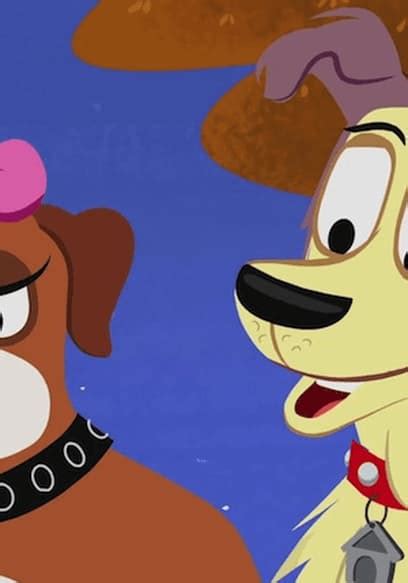 Watch Pound Puppies S01e06 Catcalls Free Tv Shows Tubi