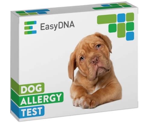 Easy Dog Allergy Testing Solutions You Can Do From Home