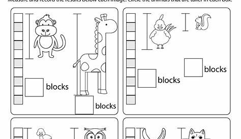 kindergarten measurement worksheets