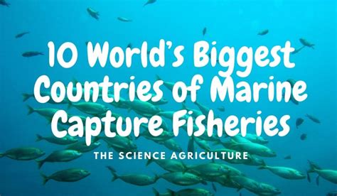 10 Worlds Biggest Countries Of Marine Capture Production The Science