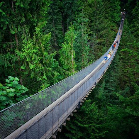 Capilano Suspension Bridge Park A Thrilling Adventure In Vancouver