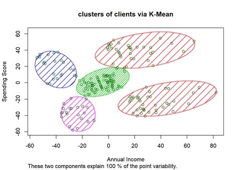 Customer Segmentation Via K Means Hierarchical Clustering Andrea