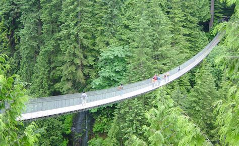 The Capilano Suspension Bridge Interesting Thing Of The Day