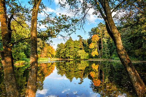 Fondos De Pantalla Ucrania Otoño Ríos Bosques Trostianets Sumskaja