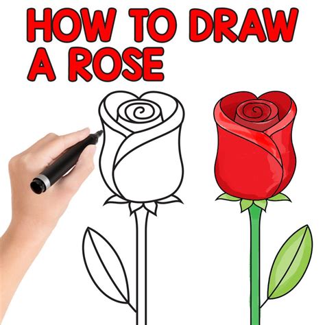 How To Draw A Rose Easy Step By Step For Beginners And Kids Easy