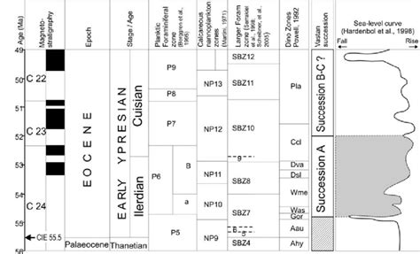 Late Paleocene To Early Eocene Stratigraphic Classification Showing