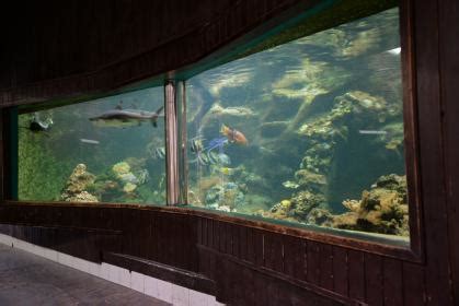 Address, phone number, olomouc zoo reviews: Pavilon šelem | Zoo Olomouc - Svatý Kopeček